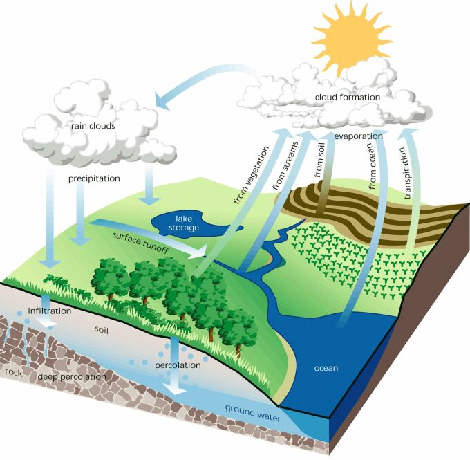 hydrologic cycle and channel
