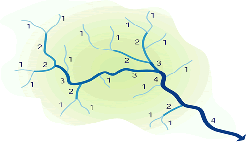 river hydrograph
