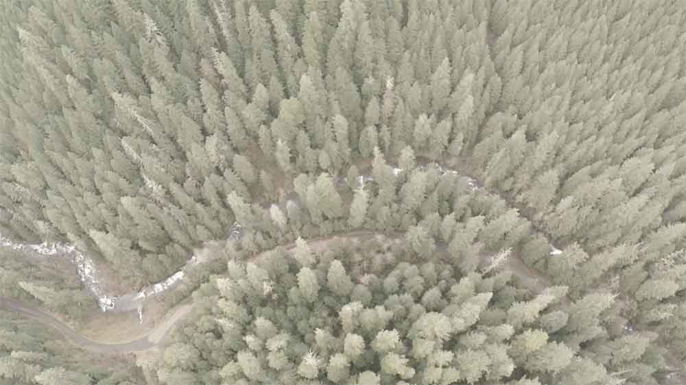 Natural Resources