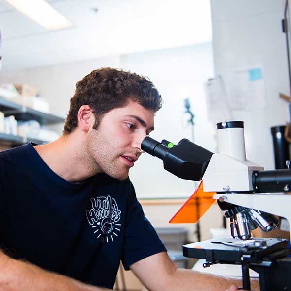 Lab Work